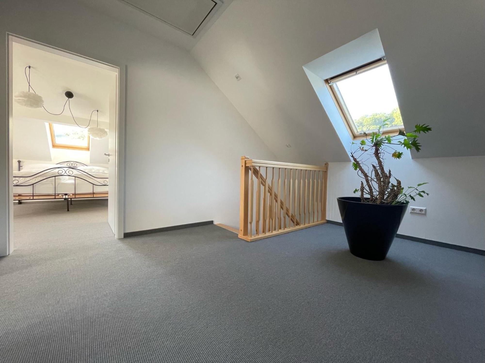 Stilvolle Wohnung Fuer 2-3 Personen - Mit Riesiger Dachterrasse Haigerloch Exterior foto