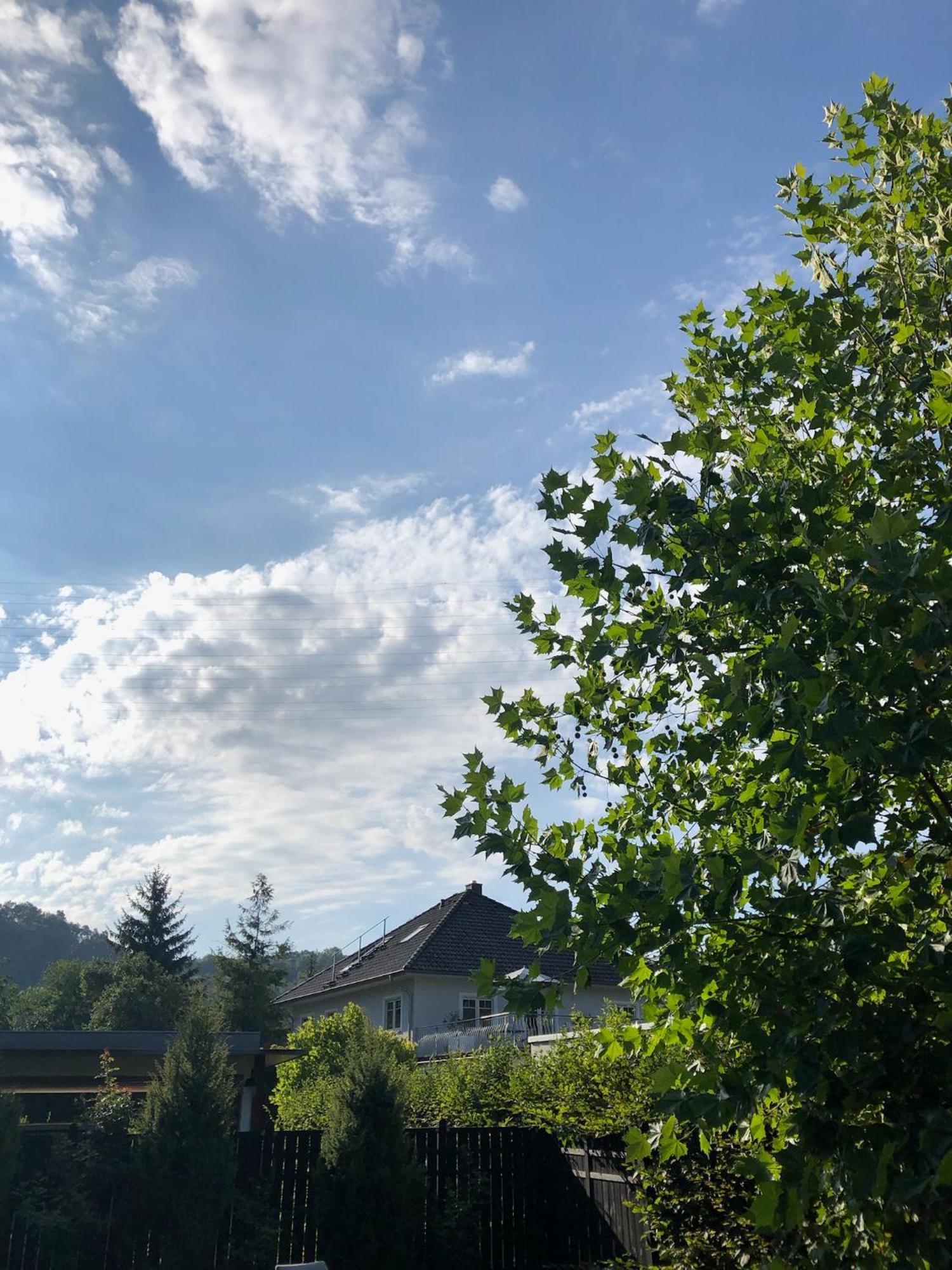 Stilvolle Wohnung Fuer 2-3 Personen - Mit Riesiger Dachterrasse Haigerloch Exterior foto